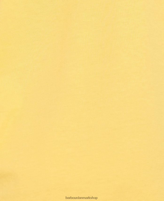 solbleget gul tam t-shirt BR2BR22524 drenge Barbour tøj
