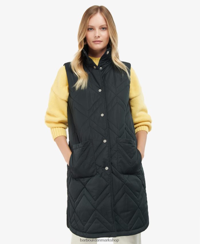 Det er fawn/gammel bregne-tartan dio gilet BR2BR21581 Kvinder Barbour tøj