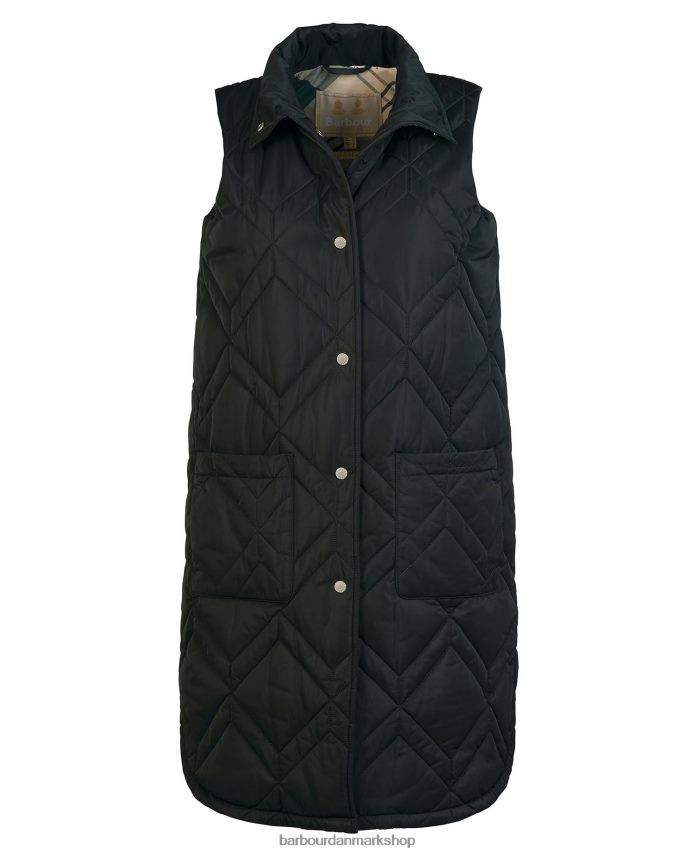 Det er fawn/gammel bregne-tartan dio gilet BR2BR21581 Kvinder Barbour tøj