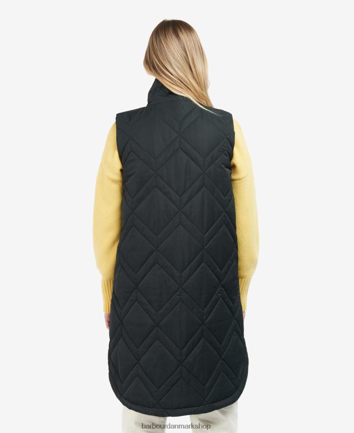 Det er fawn/gammel bregne-tartan dio gilet BR2BR21581 Kvinder Barbour tøj