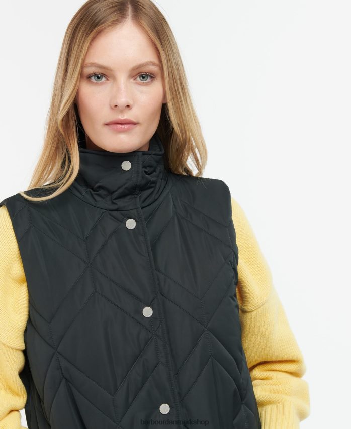 Det er fawn/gammel bregne-tartan dio gilet BR2BR21581 Kvinder Barbour tøj