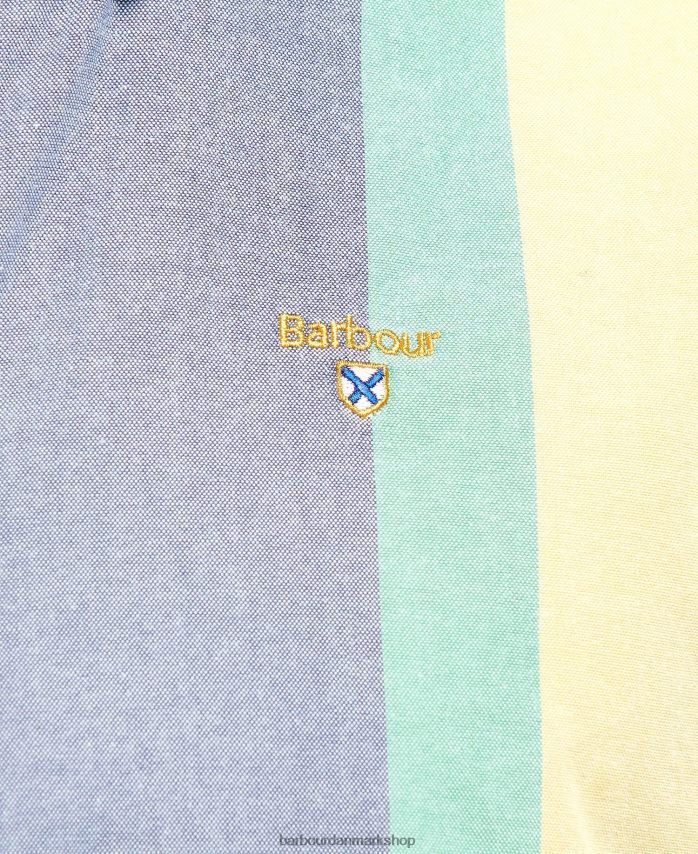 chambray fulwell stribet skjorte BR2BR2494 Mænd Barbour tøj