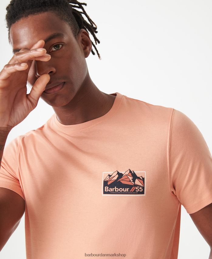 hviske hvid glason t-shirt BR2BR2783 Mænd Barbour tøj